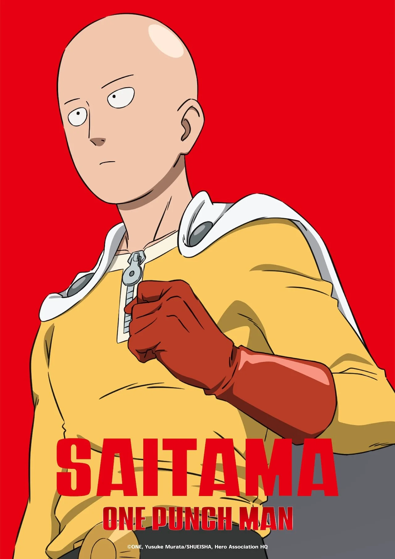One Punch Man cover